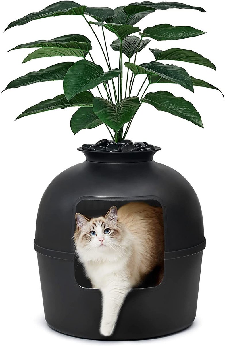 Chewy hidden 2025 litter box