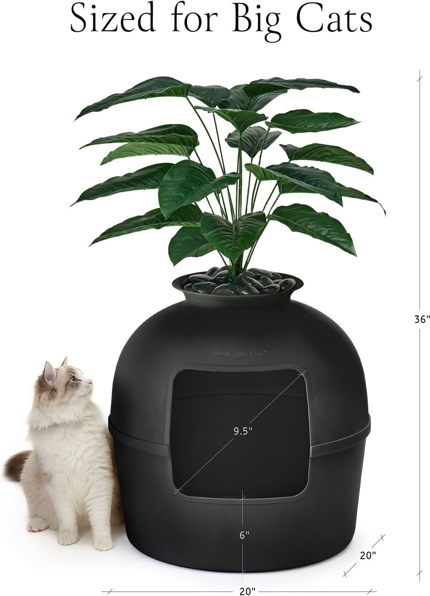 Chewy plant best sale litter box