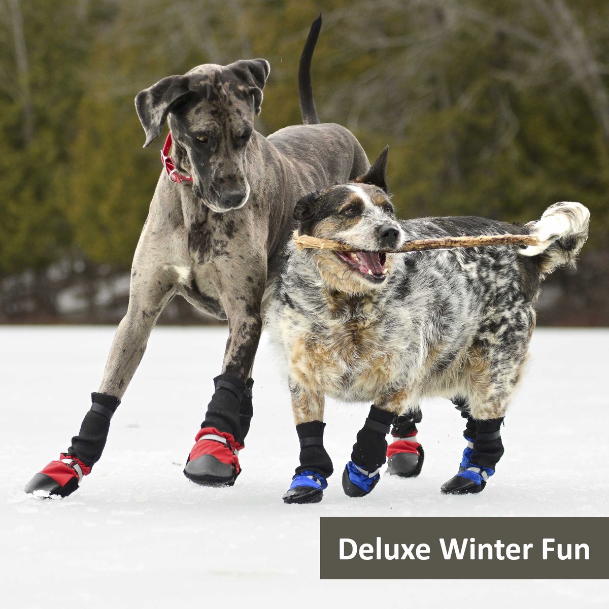 Deluxe hunting dog top boots