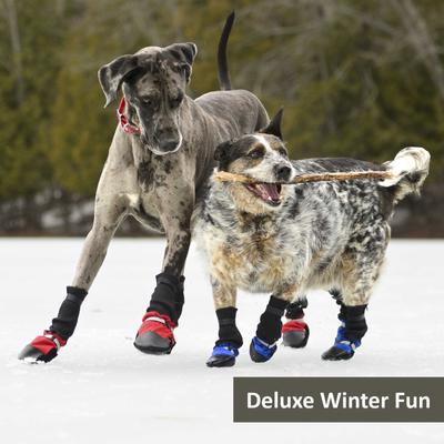 Show full view: Muttluks Deluxe Winter Dog Boots with Waterproof Fabric, 4 Boots, Black, Medium slide 7 of 11