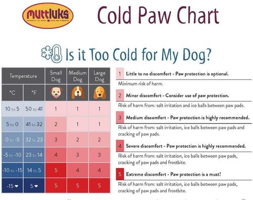 Show full view: Muttluks Deluxe Winter Dog Boots with Waterproof Fabric, 4 Boots, Black, Medium slide 9 of 11