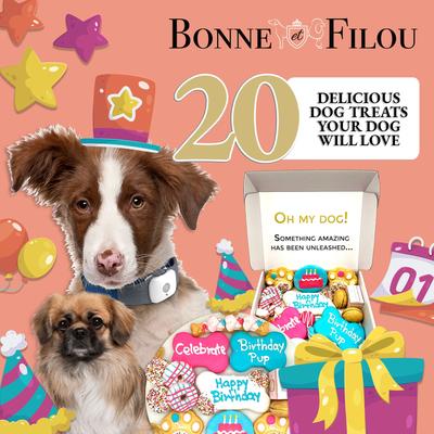 Show full view: Bonne et Filou Human-Grade Happy Birthday Dog Treats Gift Box, 20 count slide 7 of 9