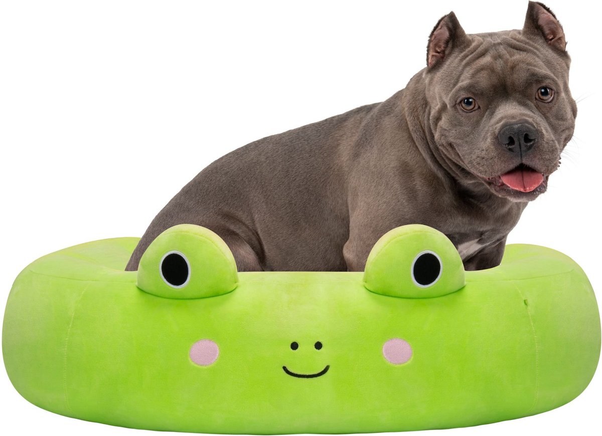 Squishmallows Wendy Frog Cat & Dog Bed