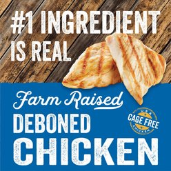 Evolve Deboned Chicken, Sweet Potato & Blueberry Biscuits Dog Treats, 12-oz bag slide 2 of 6