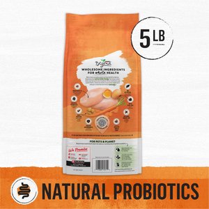 Purina Beyond White Meat Chicken & Egg Recipe Grain-Free Natural Dry Cat Food, 5-lb bag