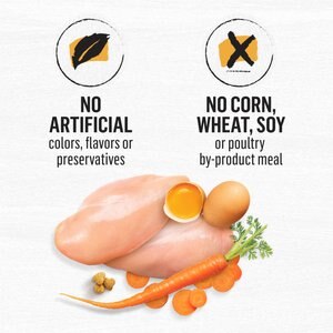 Purina Beyond White Meat Chicken & Egg Recipe Grain-Free Natural Dry Cat Food, 5-lb bag