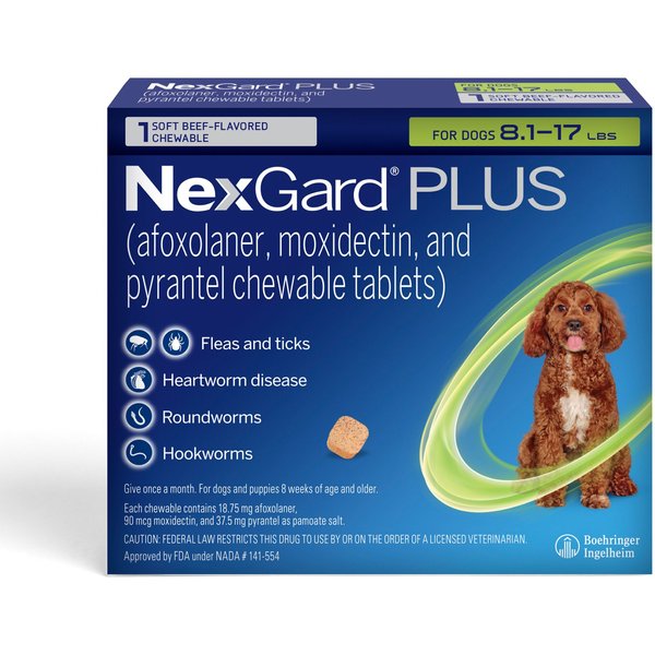 Nexgard for 2025 dogs chewy