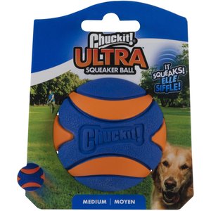 Chuckit! Ultra Squeaker Ball Dog Toy, Medium