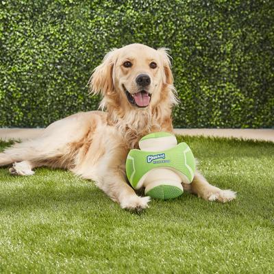 Show full view: Chuckit! Kick Fetch Max Glow Dog Toy, Large slide 6 of 10