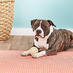 Chuckit! Max Glow Ball Dog Toy, X-Large slide 2 of 7