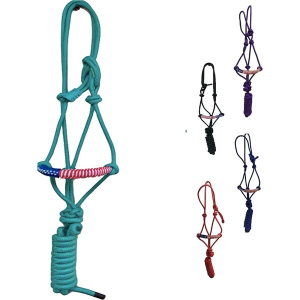 MAJESTIC ALLY Horse Nose Poly Rope & Halter, Turquoise - Chewy.com