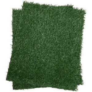 Chewy sales grass pad