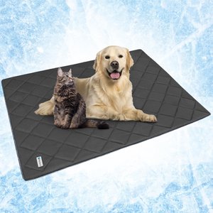 Cooling blanket outlet for dogs