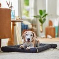 MidWest Ultra-Durable Pet Bed, Black, 36-inch