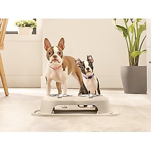 WeatherTech Double High Poly Bowl Cat & Dog Pet Feeding System, Dark Grey, 16-oz/4-in