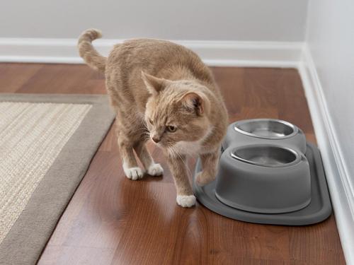 Show full view: WeatherTech Double High Poly Bowl Cat & Dog Pet Feeding System, Light Grey, 64-oz/10-in slide 4 of 4