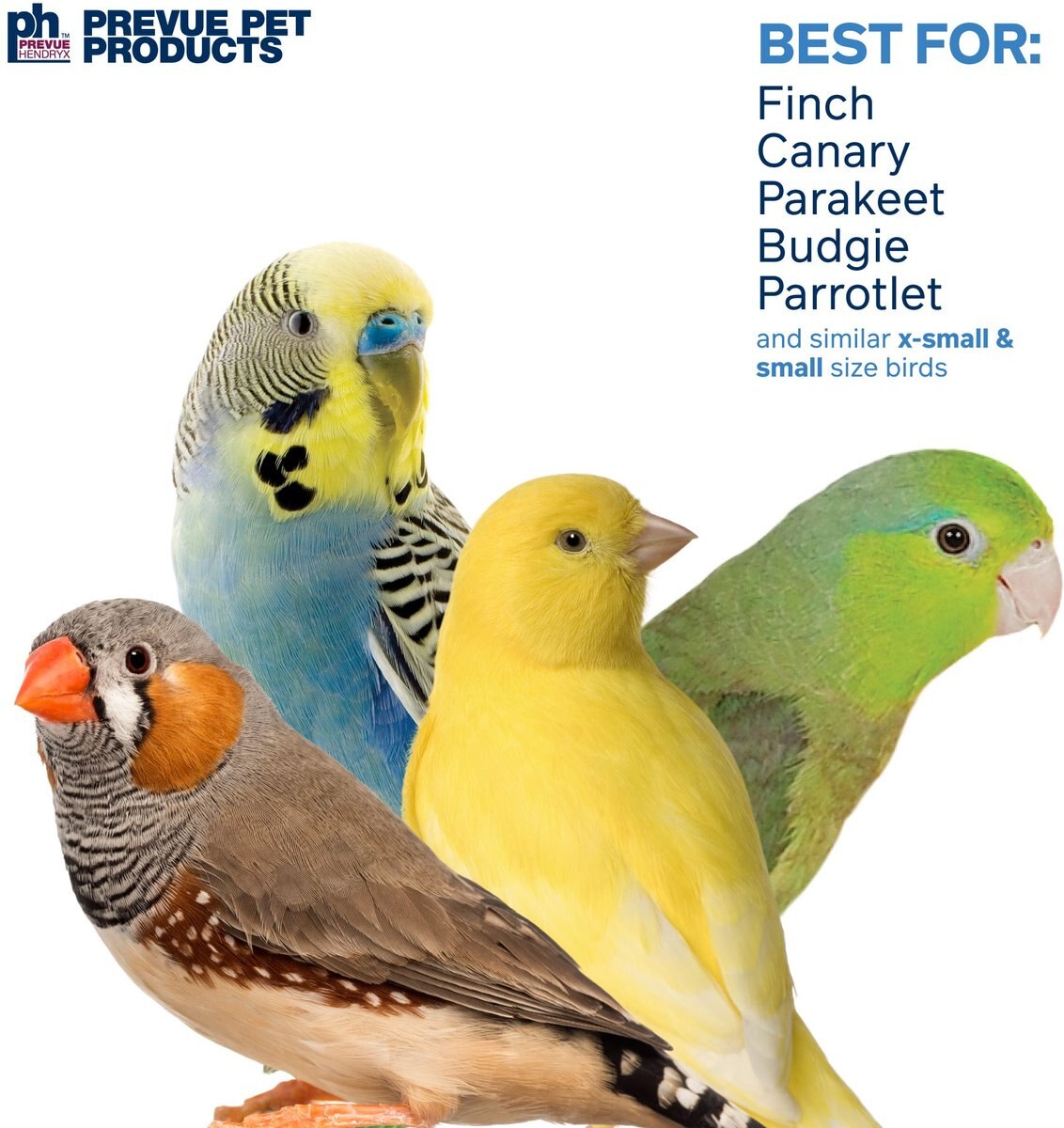 Prevue Pet Products Playfuls Sassy Bird Toy, Multicolor