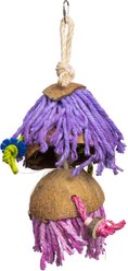 Prevue Pet Products Playfuls Car Wash Bird Toy, Multicolor