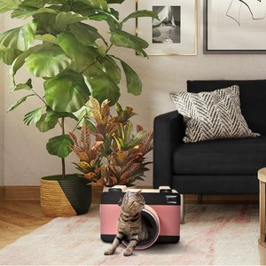 Max & Marlow Corrugate Retro Camera Scratcher Cat Toy
