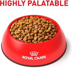Royal Canin Veterinary Diet Adult Renal Support F Dry Cat Food, 3-lb bag slide 2 of 8