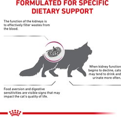 Royal Canin Veterinary Diet Adult Renal Support S Dry Cat Food, 3-lb bag slide 2 of 8