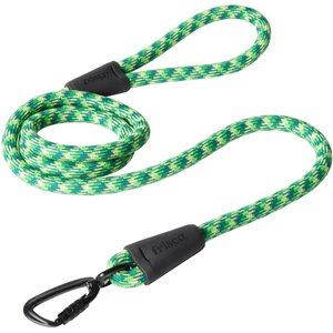 WATER & WOODS Braided Rope Slip Dog Leash, Safety Orange - Chewy.com