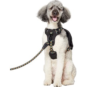 Frisco Rugged Day Pack Harness with Reflective Straps, Black, X-Large