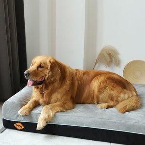 LaiFug Double Pillow Dog Bed, X-large