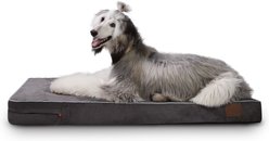 LaiFug Orthopedic Memory Foam Dog Bed, Gray & blue, Large