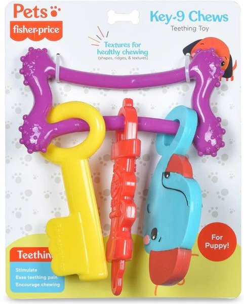 Chewy teething toys online