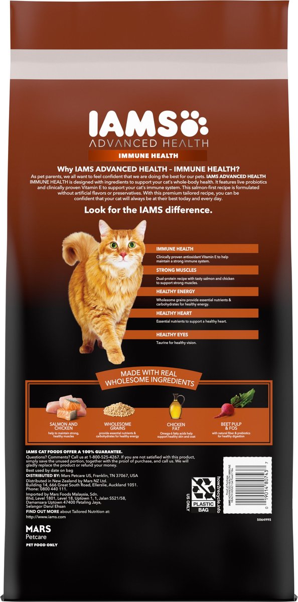 Iams cat clearance food chewy