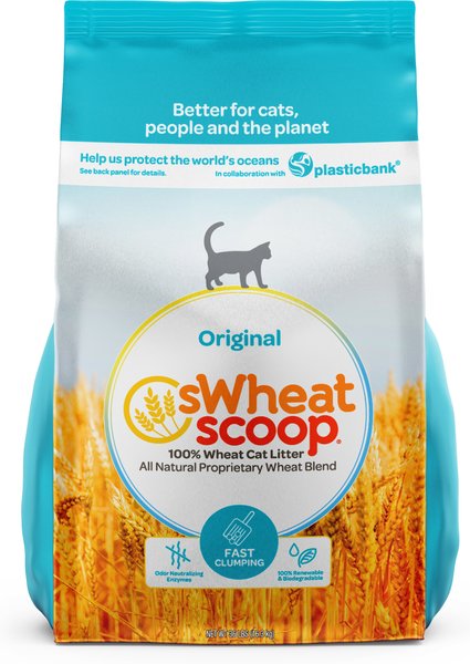 sWheat Scoop Fast-Clumping Unscented Natural Clumping Wheat Cat Litter, 36-lb bag slide 1 of 9