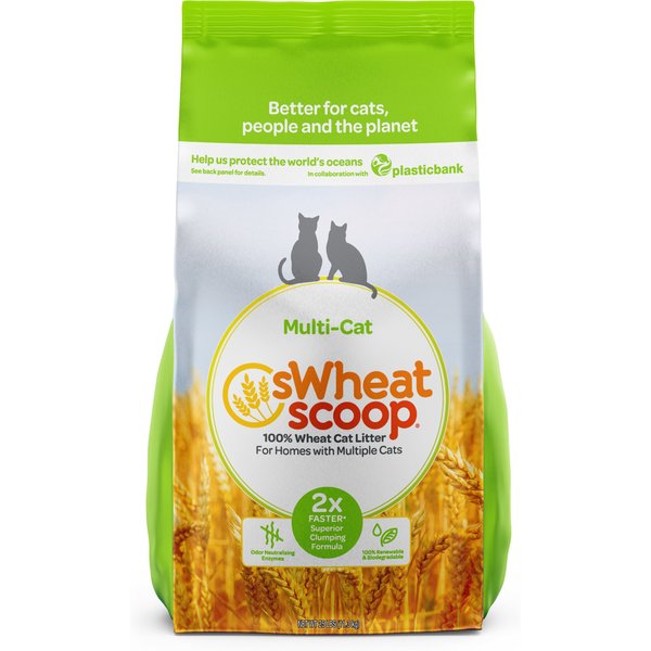SWHEAT SCOOP MultiCat Unscented Natural Clumping Wheat Cat Litter, 25
