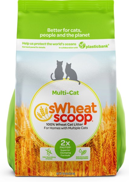 sWheat Scoop Multi-Cat Unscented Natural Clumping Wheat Cat Litter, 36-lb bag slide 1 of 9