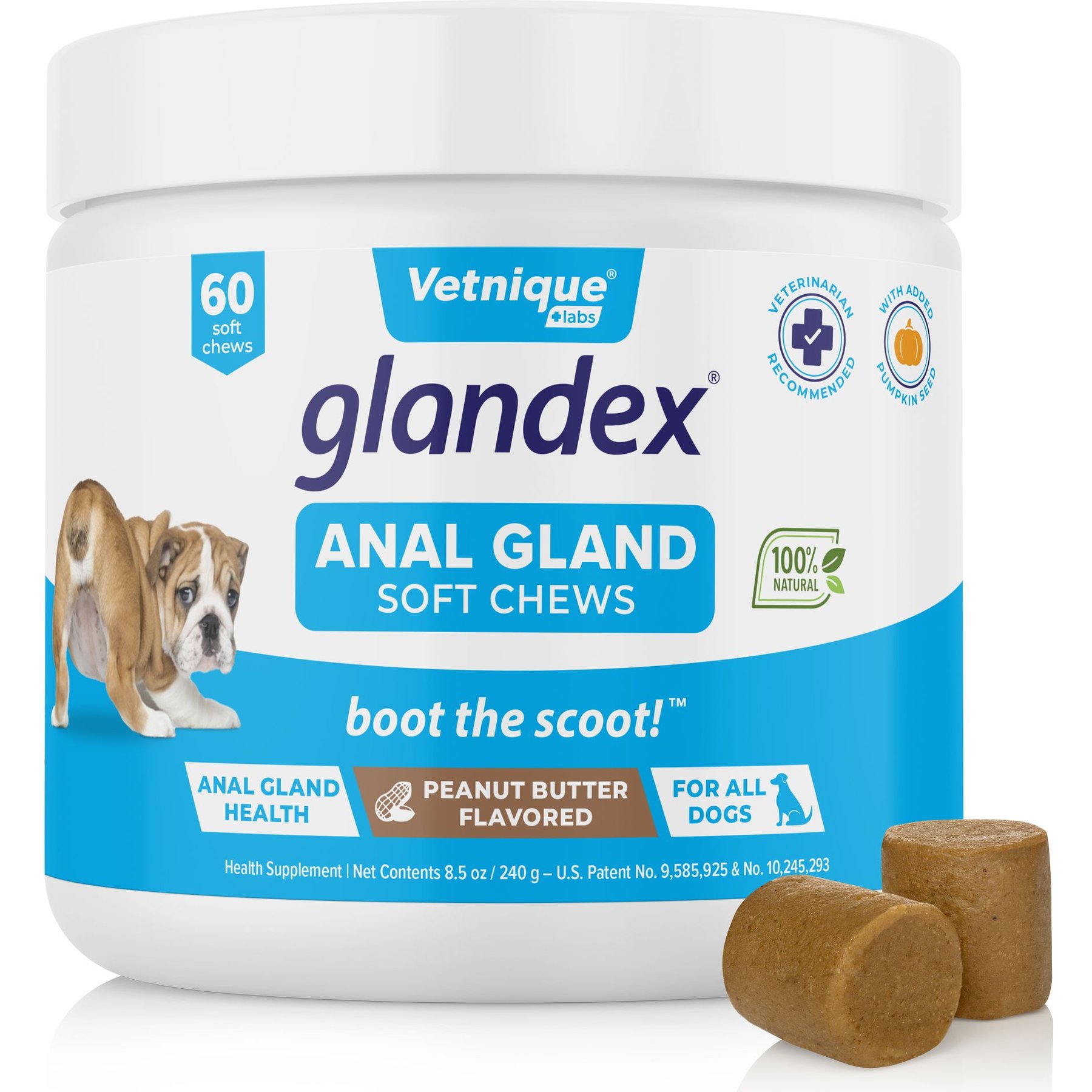 VETNIQUE LABS Glandex Anal Gland & Probiotic Peanut Butter Flavored Pumpkin  Fiber Soft Chew Digestive Boot the Scoot Dog Supplement, 60 count -  Chewy.com