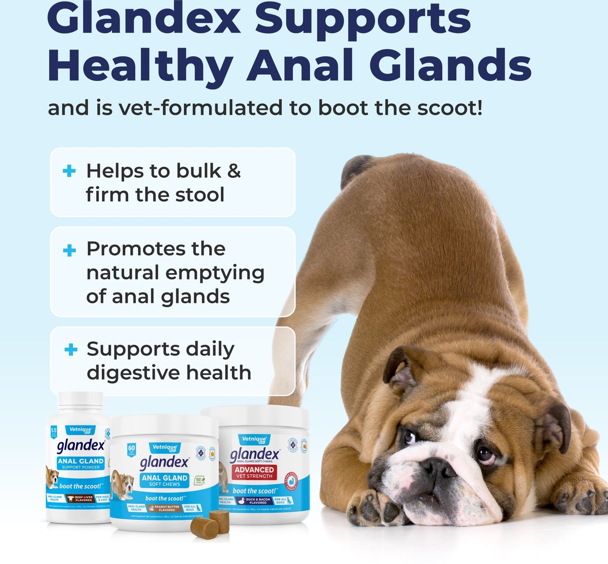 thumbnail image 2 of Glandex Anal Gland Chews For Dogs – Probiotic Support, Salmon Flavor, 120 Soft Chews 2 of 5