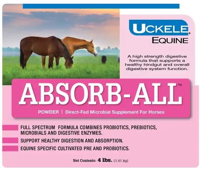 UCKELE AbsorbAll Powder Horse Digestive Supplement, 4lb bag