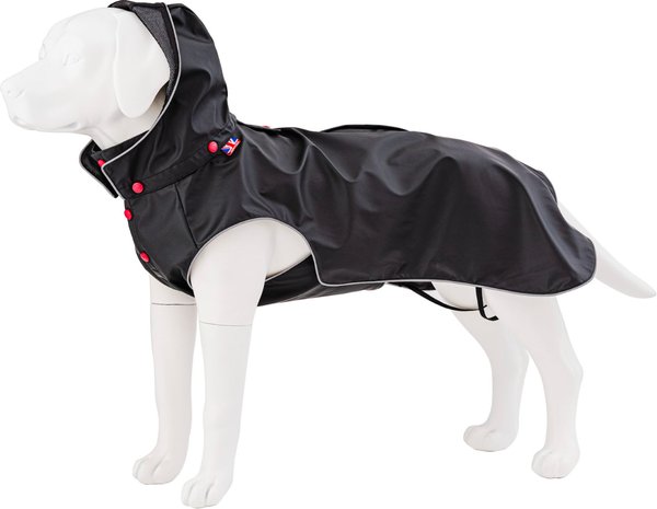 Chewy raincoat for clearance dogs