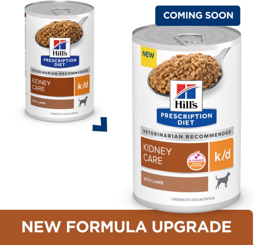 chewy kidney dog food