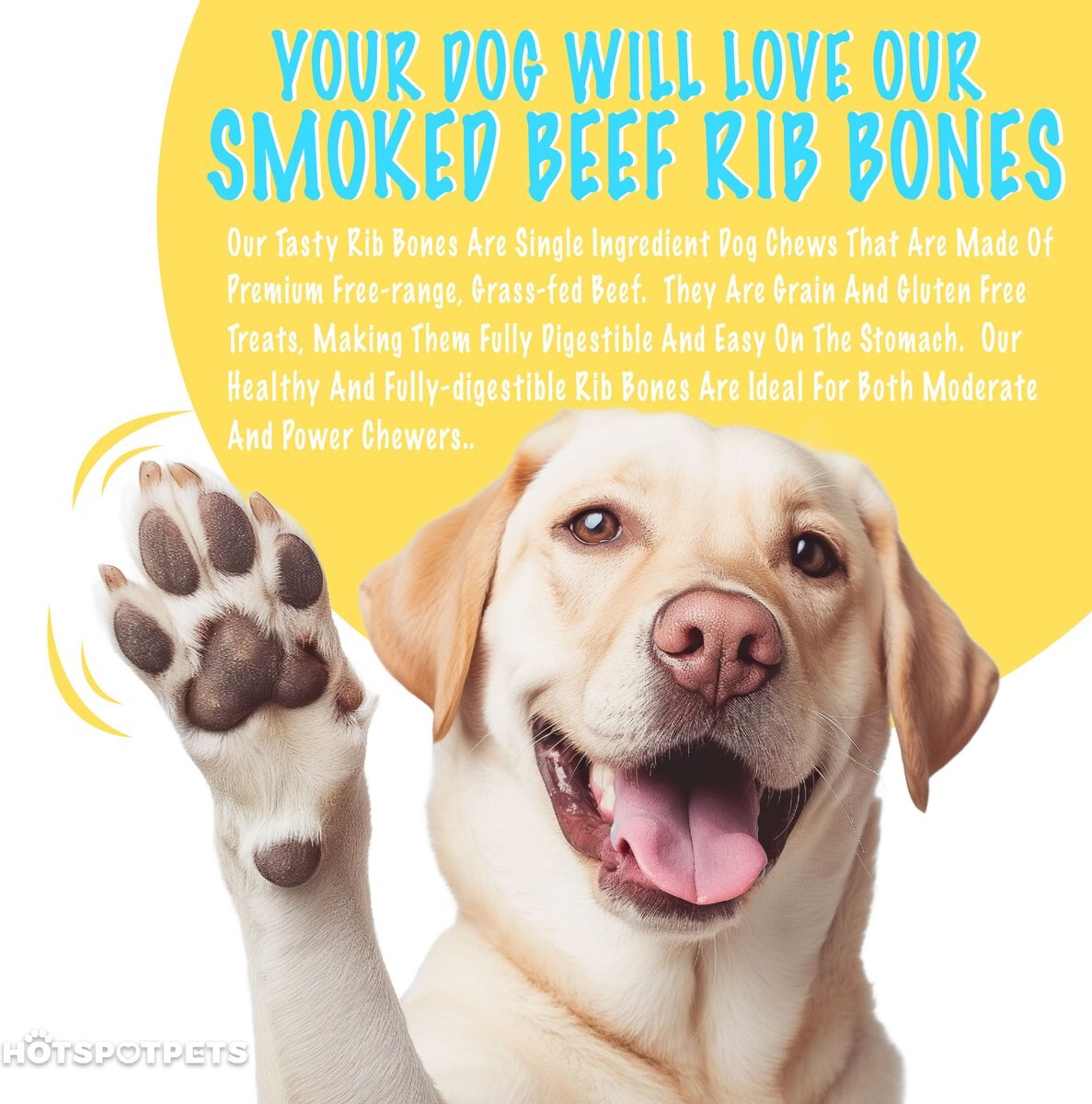 HOTSPOT PETS 6in Irresistible Beef Rib Bones Dog Bone, 24 count