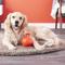 Show in main carousel: Jolly Pets Tug-n-Toss Dog Toy, Orange, 4.5-in slide 3 of 5