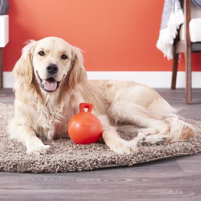 Show full view: Jolly Pets Tug-n-Toss Dog Toy, Orange, 4.5-in slide 3 of 5