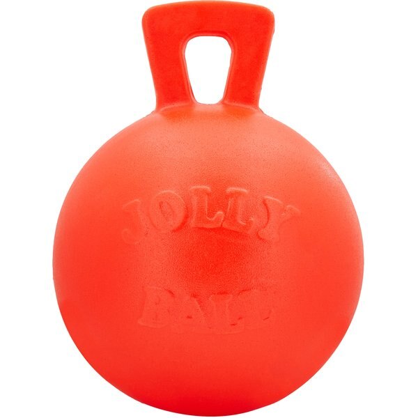 JOLLY PETS TugnToss Dog Toy, Red, 10in