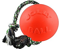 Jolly Pets Romp-n-Roll Dog Toy, Orange, 4.5-in