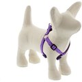 LupinePet Step In Dog Harness, Jelly Roll, Small: 12 to 18-in chest