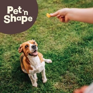 Pet 'n Shape Beef Lung Slices Dog Treats, 9-oz bag, 1 pack