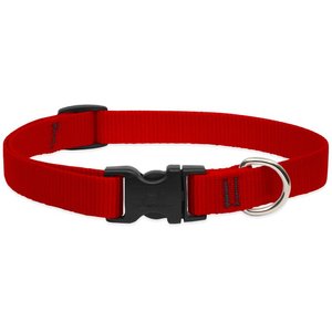 LupinePet Standard Dog Collar, Red, Medium: 9 to 14-in neck, 3/4-in wide