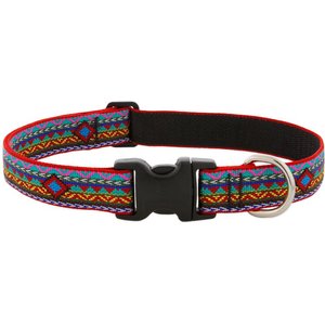 LupinePet Standard Dog Collar, El Paso, Large: 12 to 20-in neck, 1-in wide