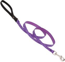 LupinePet Padded Handle Dog Leash, Jelly Roll, Small: 6-ft long, 1/2-in wide