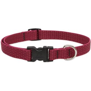 LupinePet Eco Standard Dog Collar, Berry, Medium: 9 to 14-in neck, 3/4-in wide